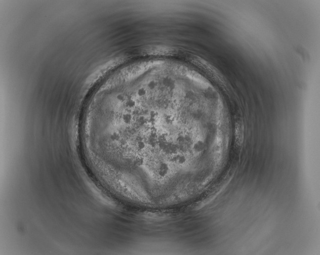 X0000113310725200910051104