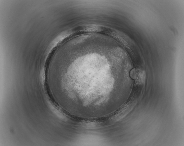 X0000113310726200910051104