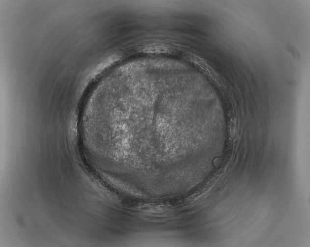 X0000113310727200910051104