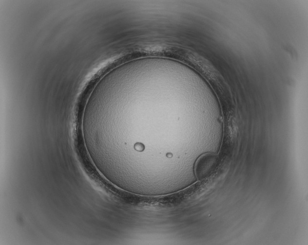 X0000113310728200910051104