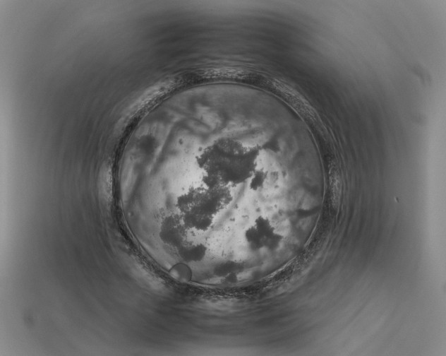 X0000113310729200910051104