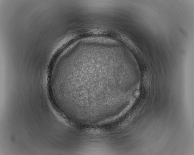 X0000113310730200910051104