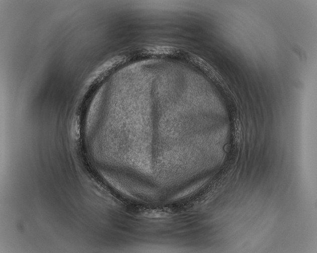 X0000113310731200910051104