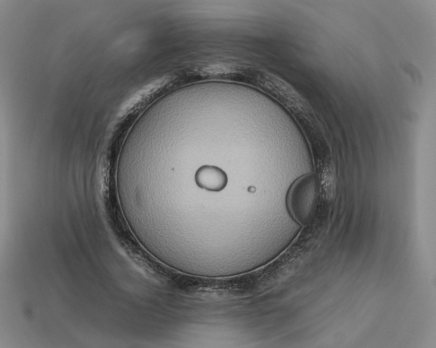 X0000113310732200910051104