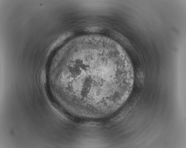 X0000113310734200910051104