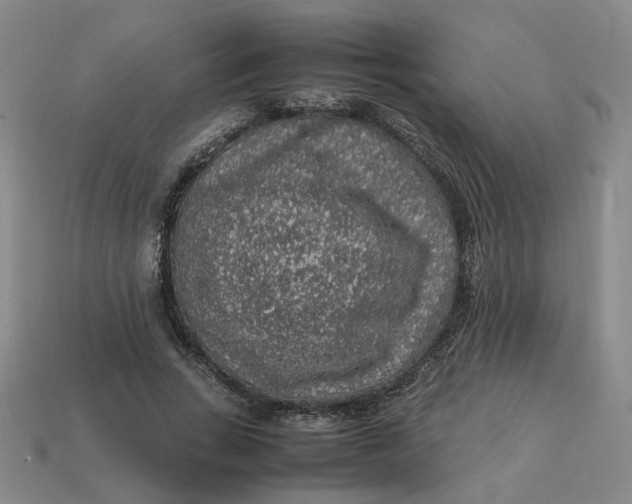 X0000113310735200910051104