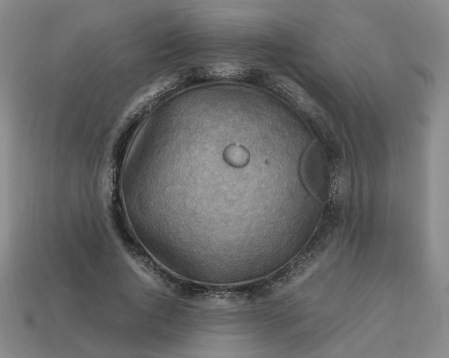 X0000113310736200910051104