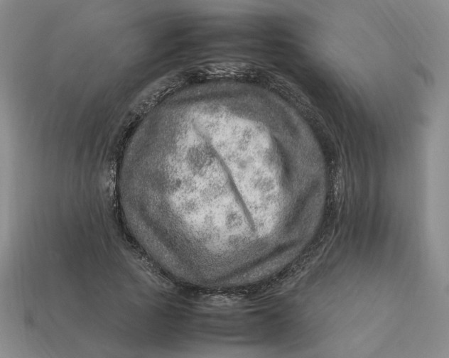 X0000113310737200910051104