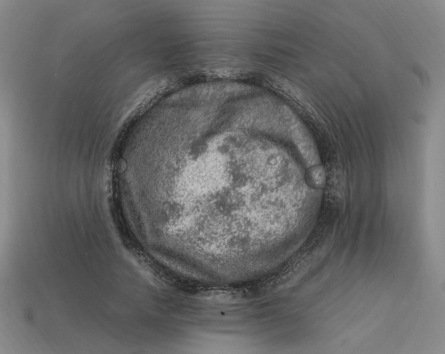 X0000113310738200910051104