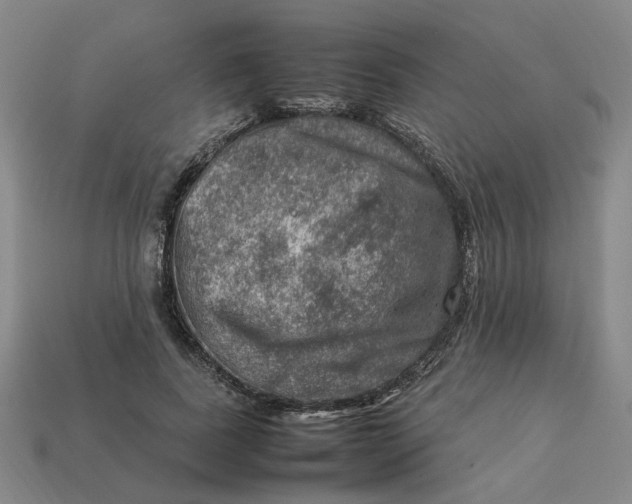 X0000113310739200910051104