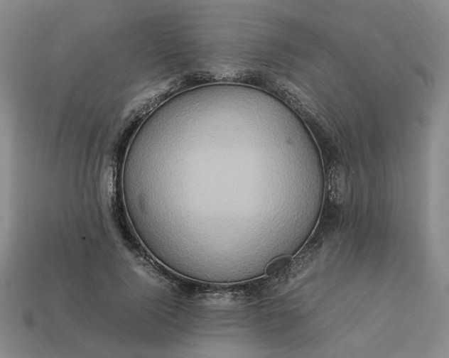 X0000113310740200910051104