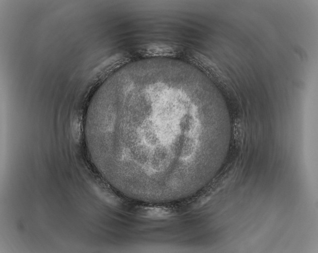 X0000113310741200910051104