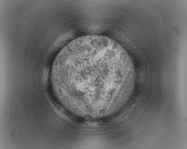 X0000113310742200910051104