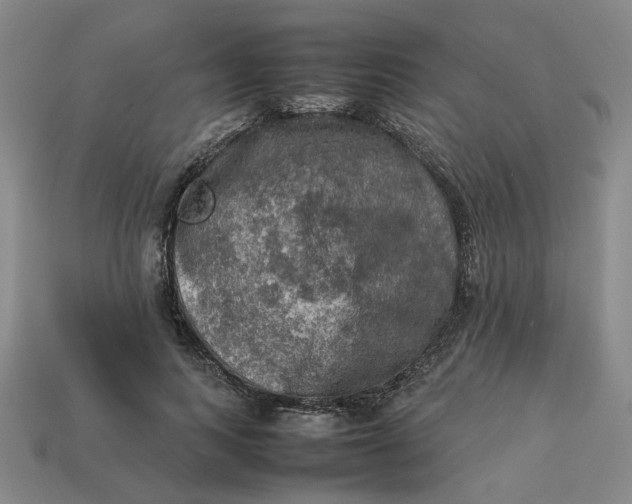 X0000113310743200910051104