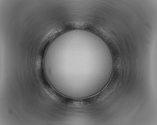 X0000113310744200910051104