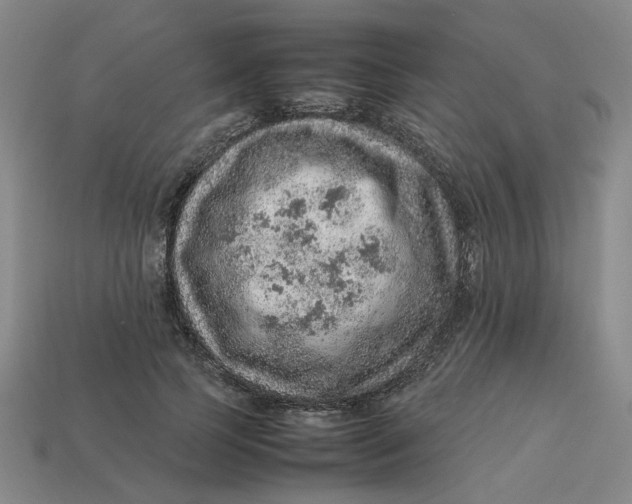 X0000113310745200910051104