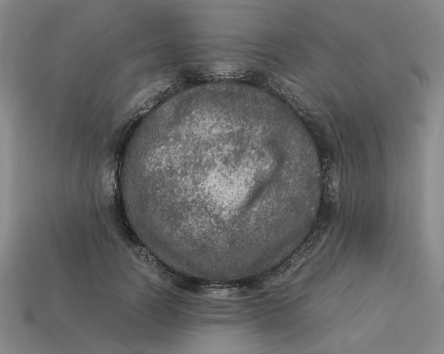 X0000113310746200910051104