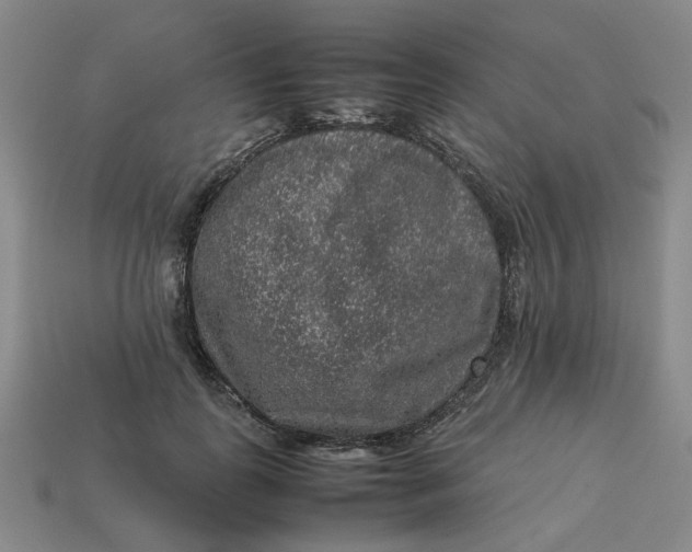 X0000113310747200910051104