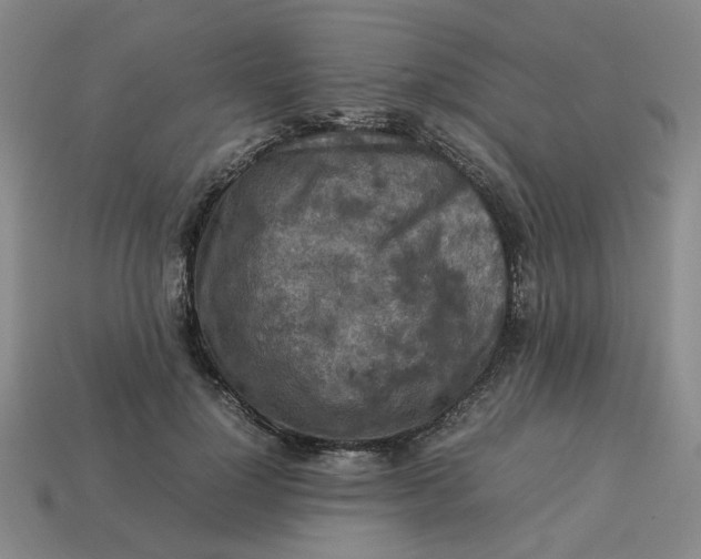 X0000113310748200910051104