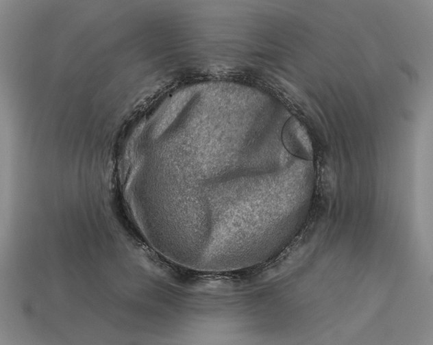 X0000113310750200910051104