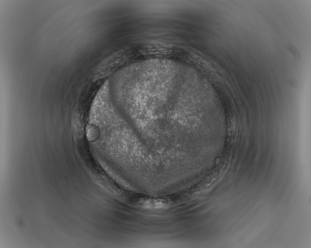 X0000113310751200910051104