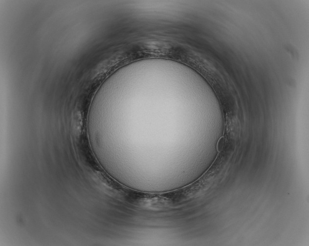 X0000113310752200910051104