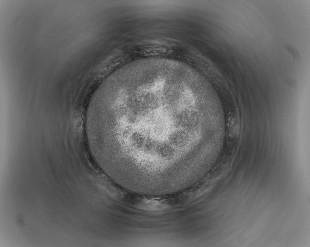 X0000113310753200910051104