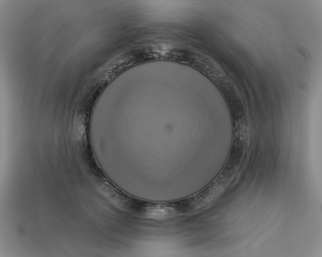 X0000113310754200910051104