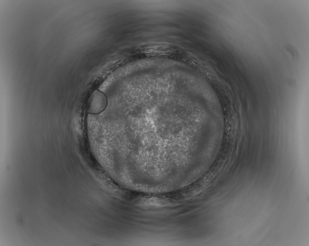 X0000113310755200910051104