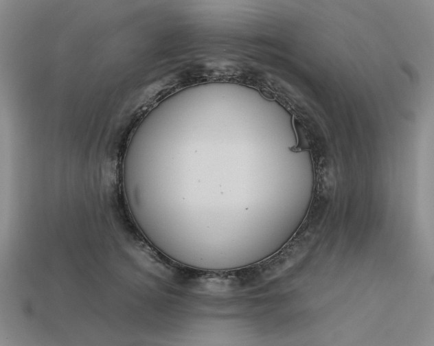 X0000113310756200910051104