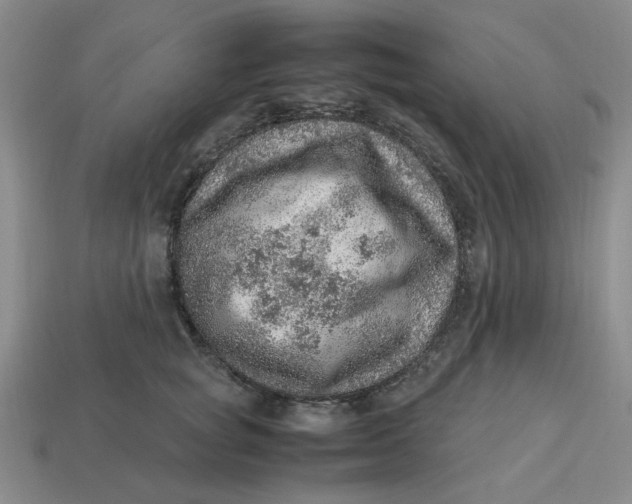 X0000113310757200910051104