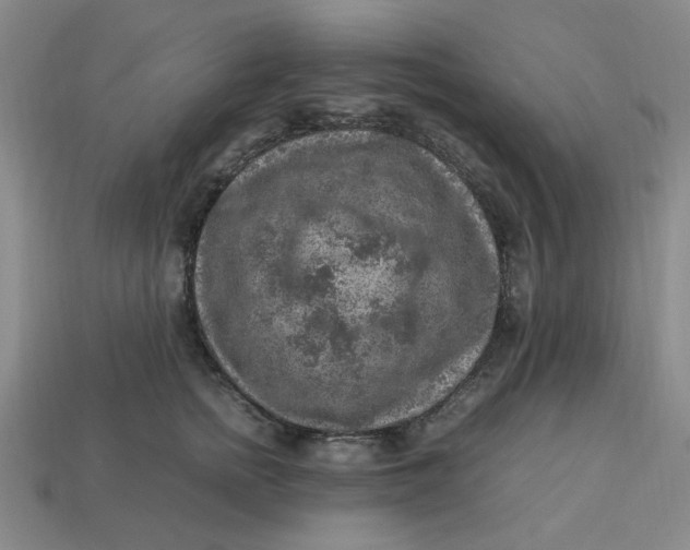 X0000113310758200910051104