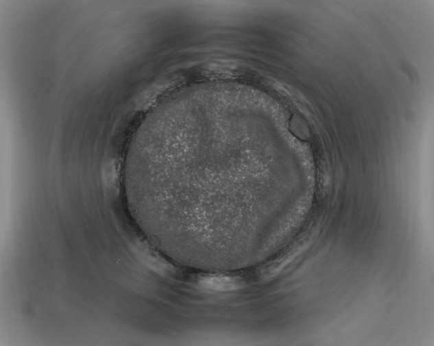 X0000113310759200910051104