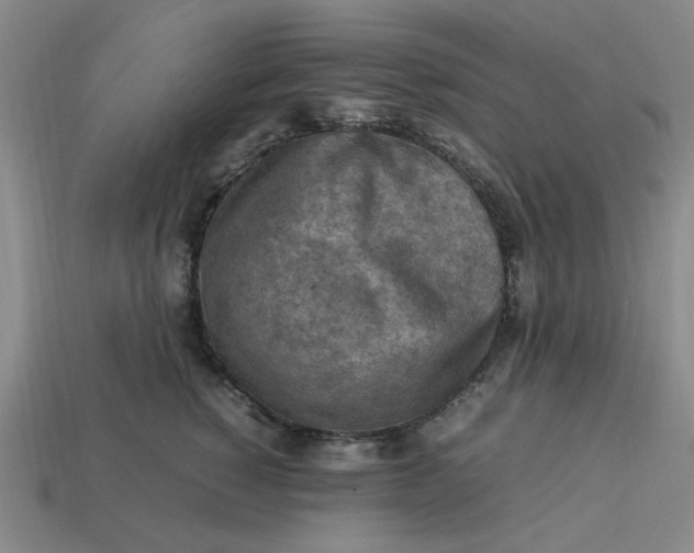 X0000113310760200910051104