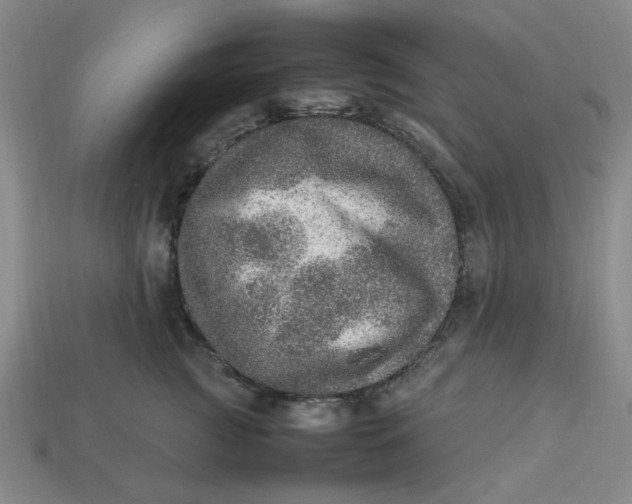 X0000113310761200910051104