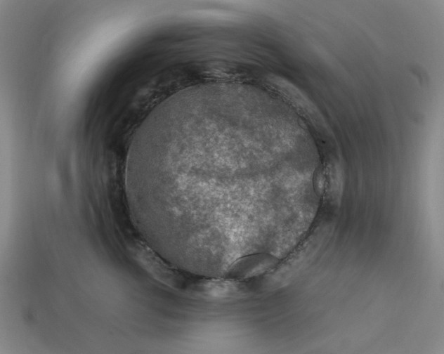 X0000113310762200910051104