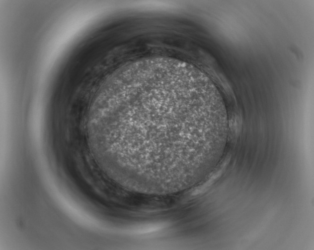 X0000113310765200910051104