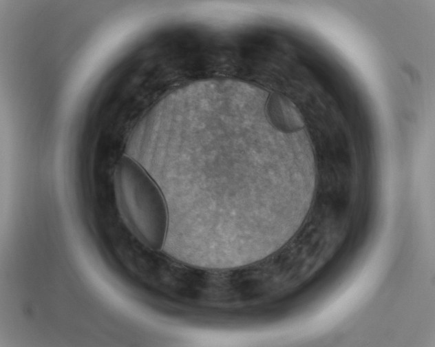 X0000113310766200910051104