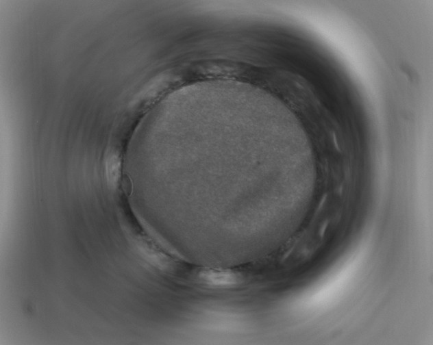 X0000113310767200910051104