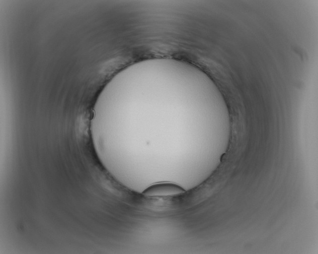 X0000113310768200910051104