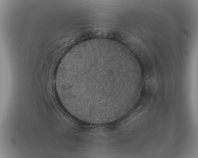 X0000113310769200910051103