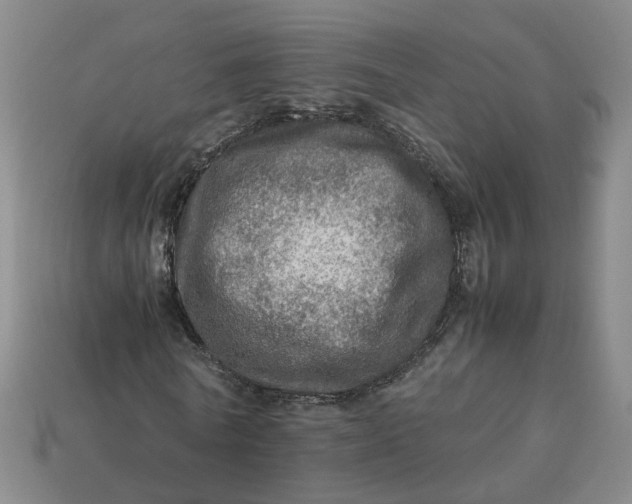 X0000113310770200910051103