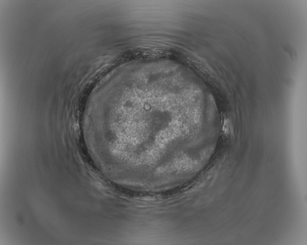 X0000113310771200910051103