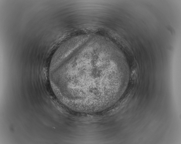 X0000113310772200910051103