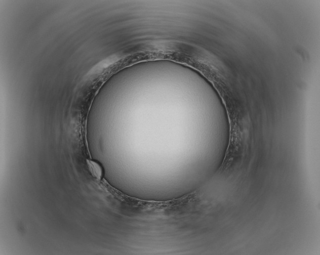 X0000113310773200910051103