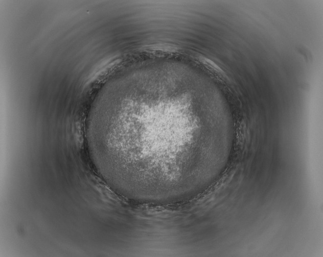 X0000113310774200910051103