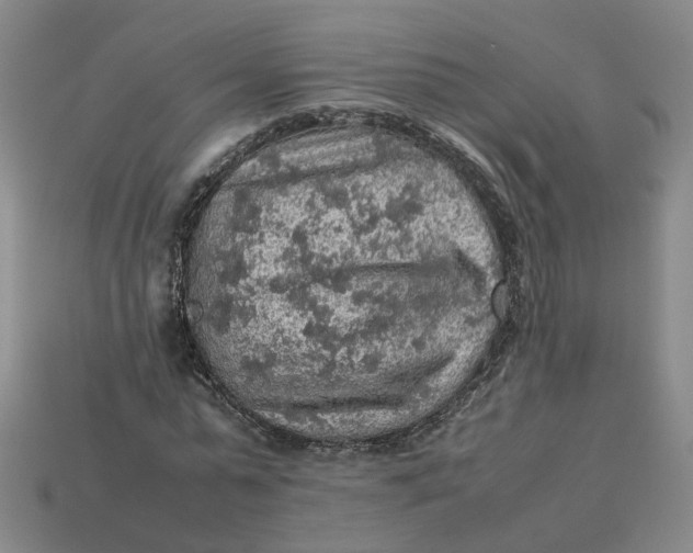 X0000113310775200910051103