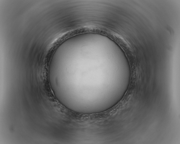 X0000113310776200910051103