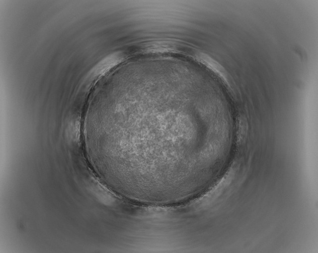 X0000113310777200910051103