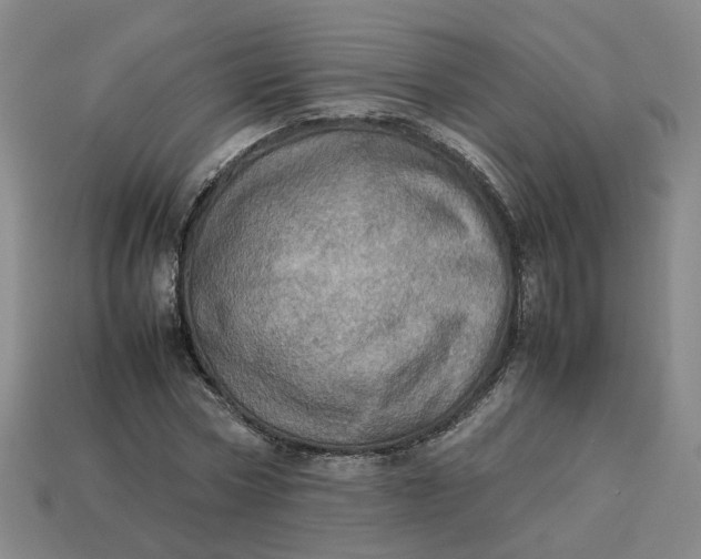 X0000113310778200910051103